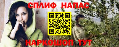 молекула духа Волжский